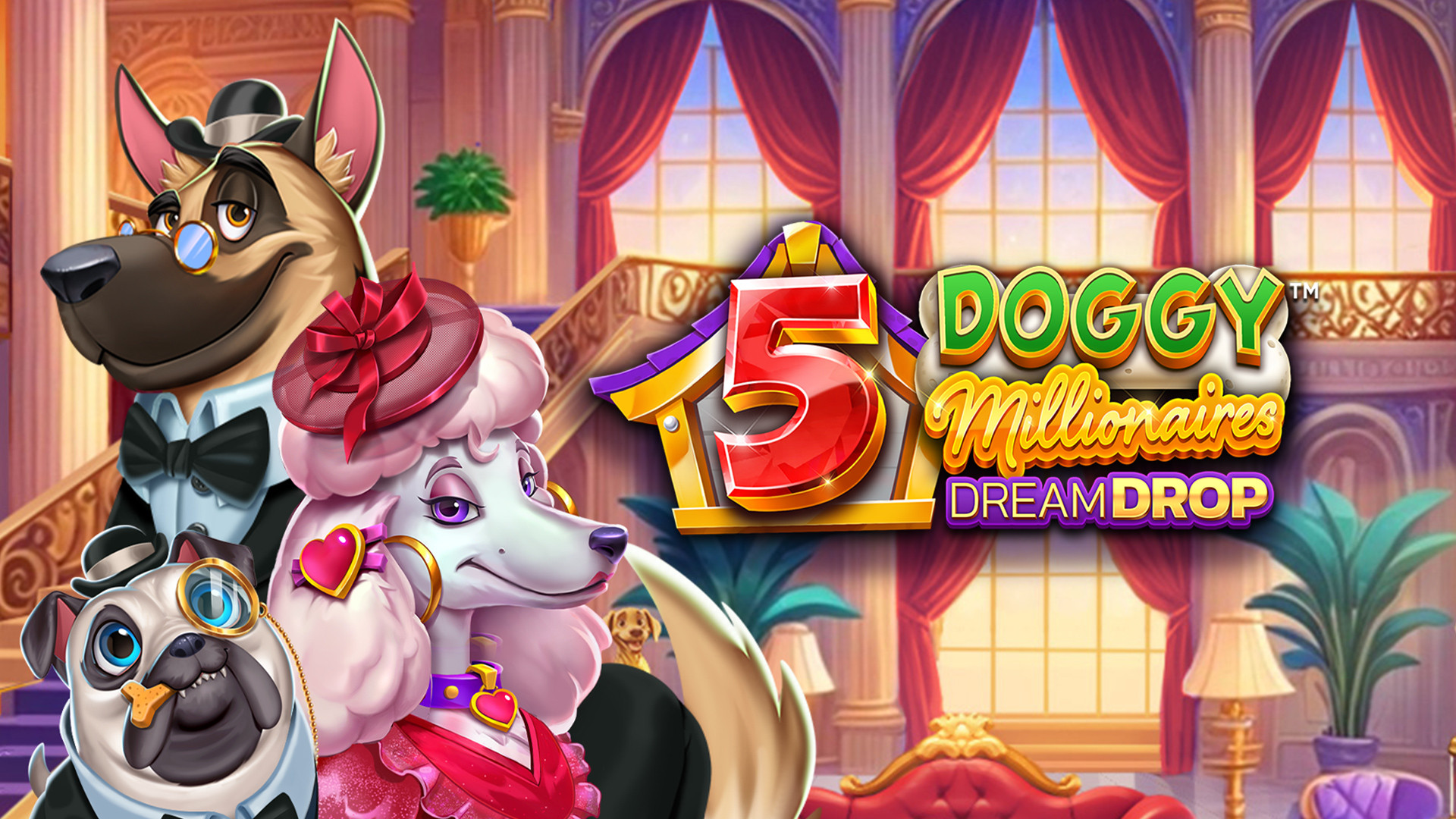 5 Doggy Millionaires Dream Drop