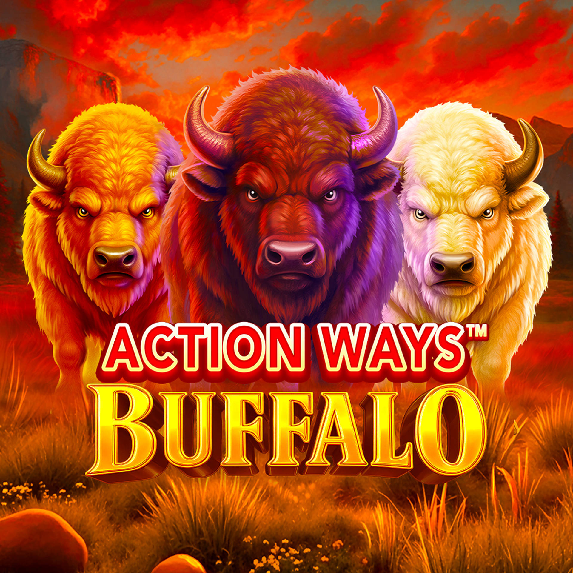 Action Ways Buffalo