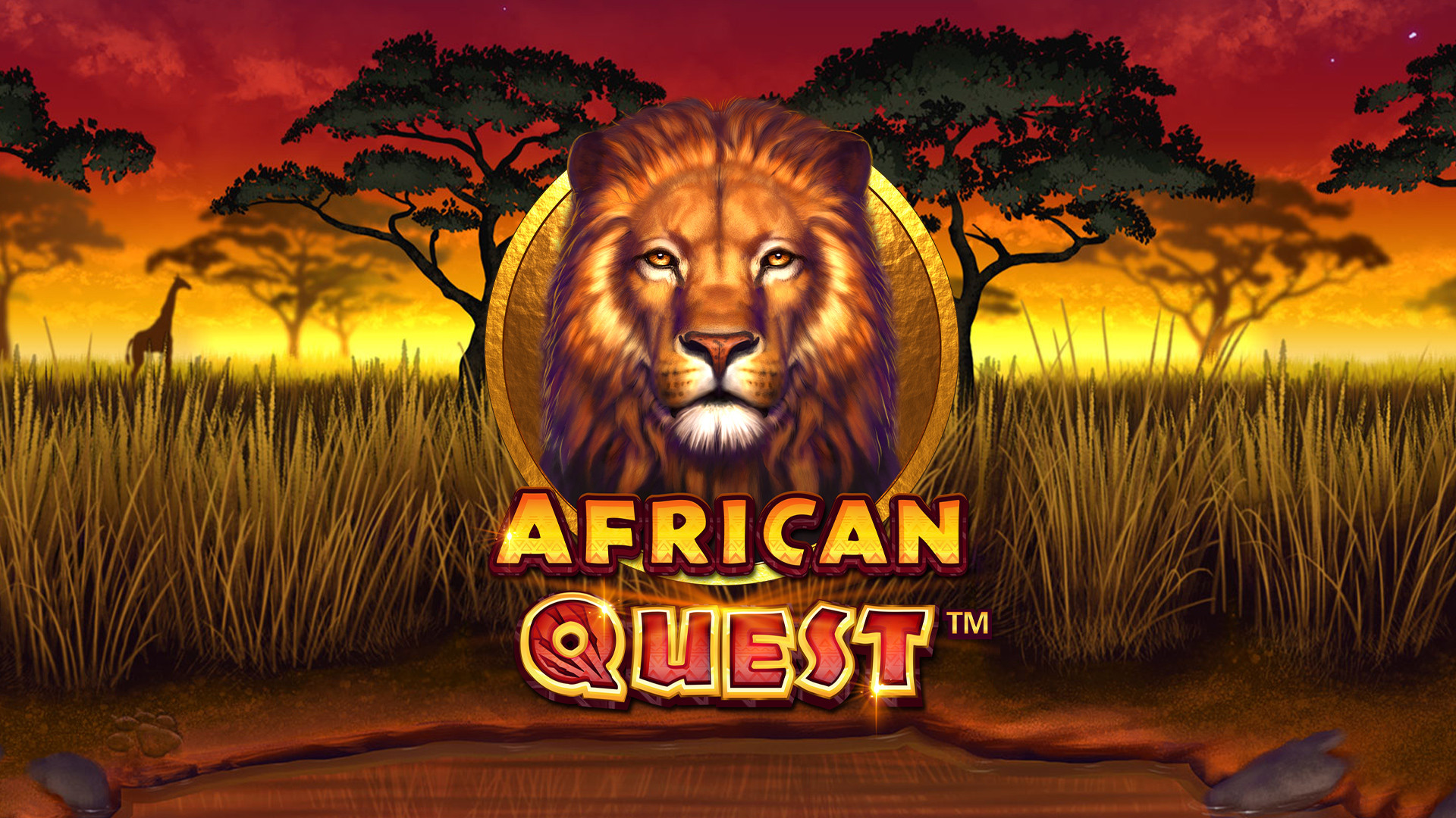 African Quest