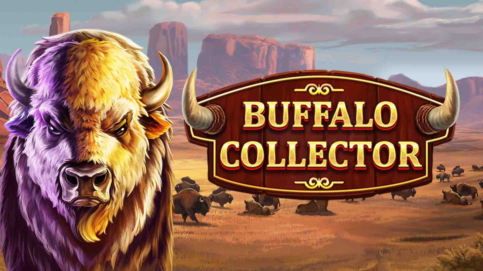 Buffalo Collector