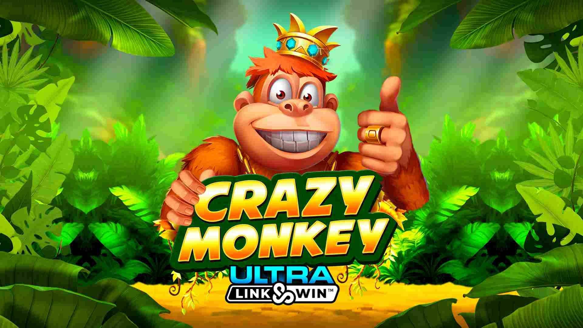 Crazy Monkey Ultra Link&Win