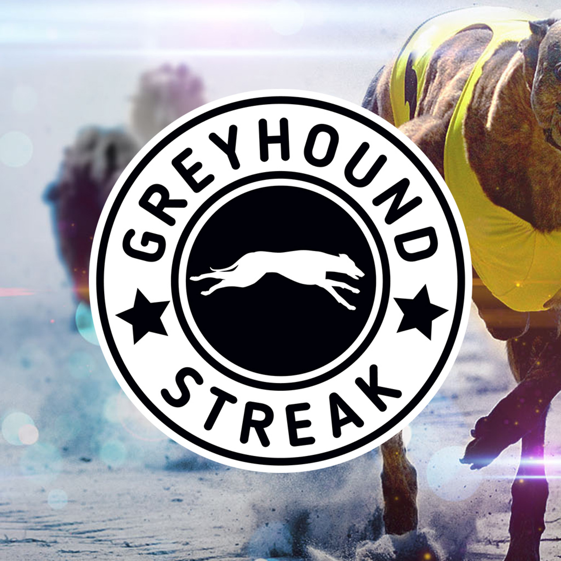 Greyhound Streak