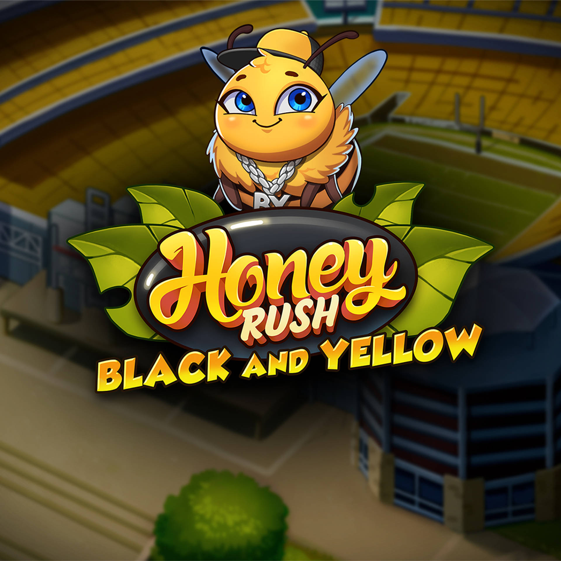 Honey Rush Black and Yellow