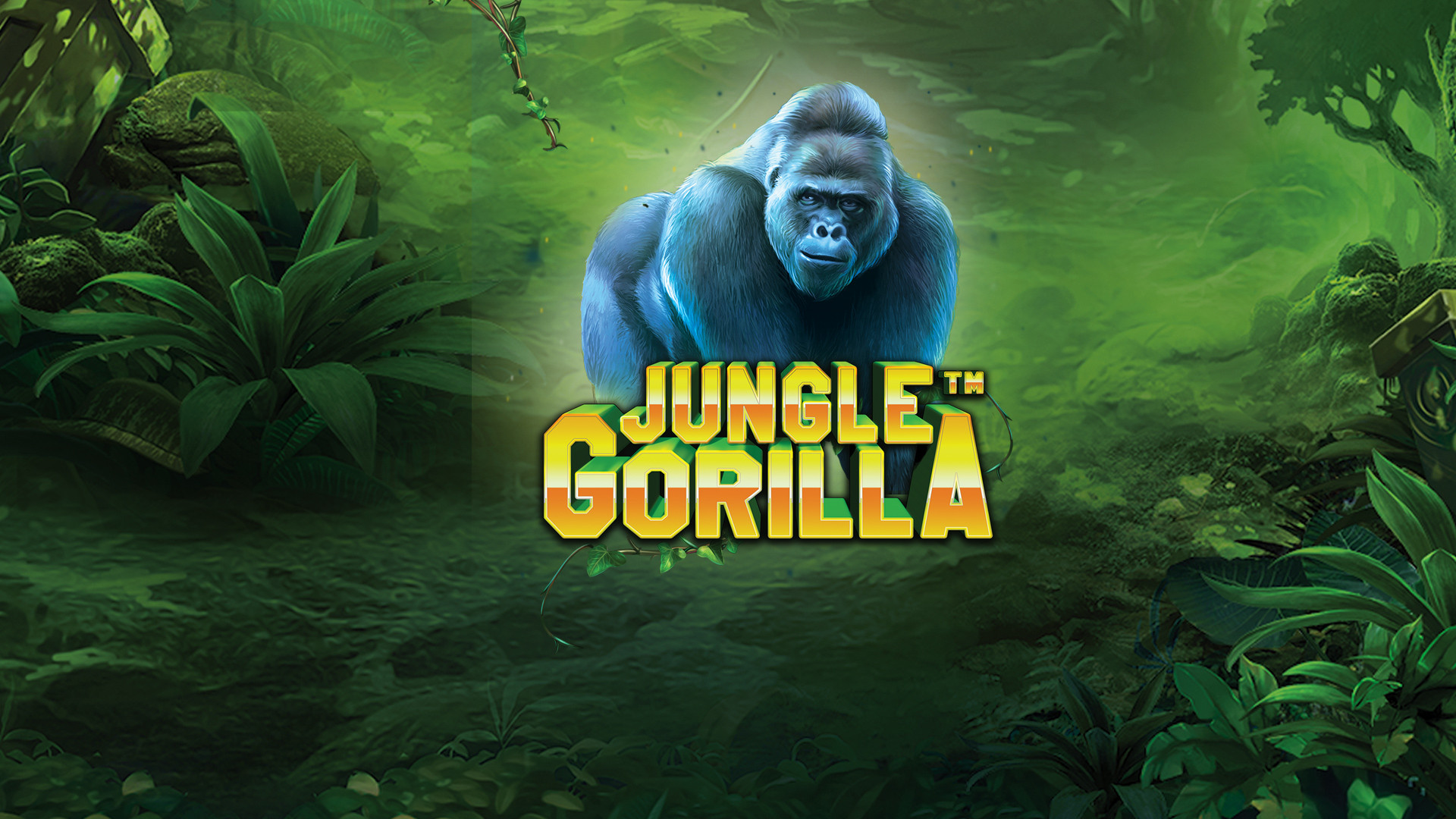 Jungle Gorilla