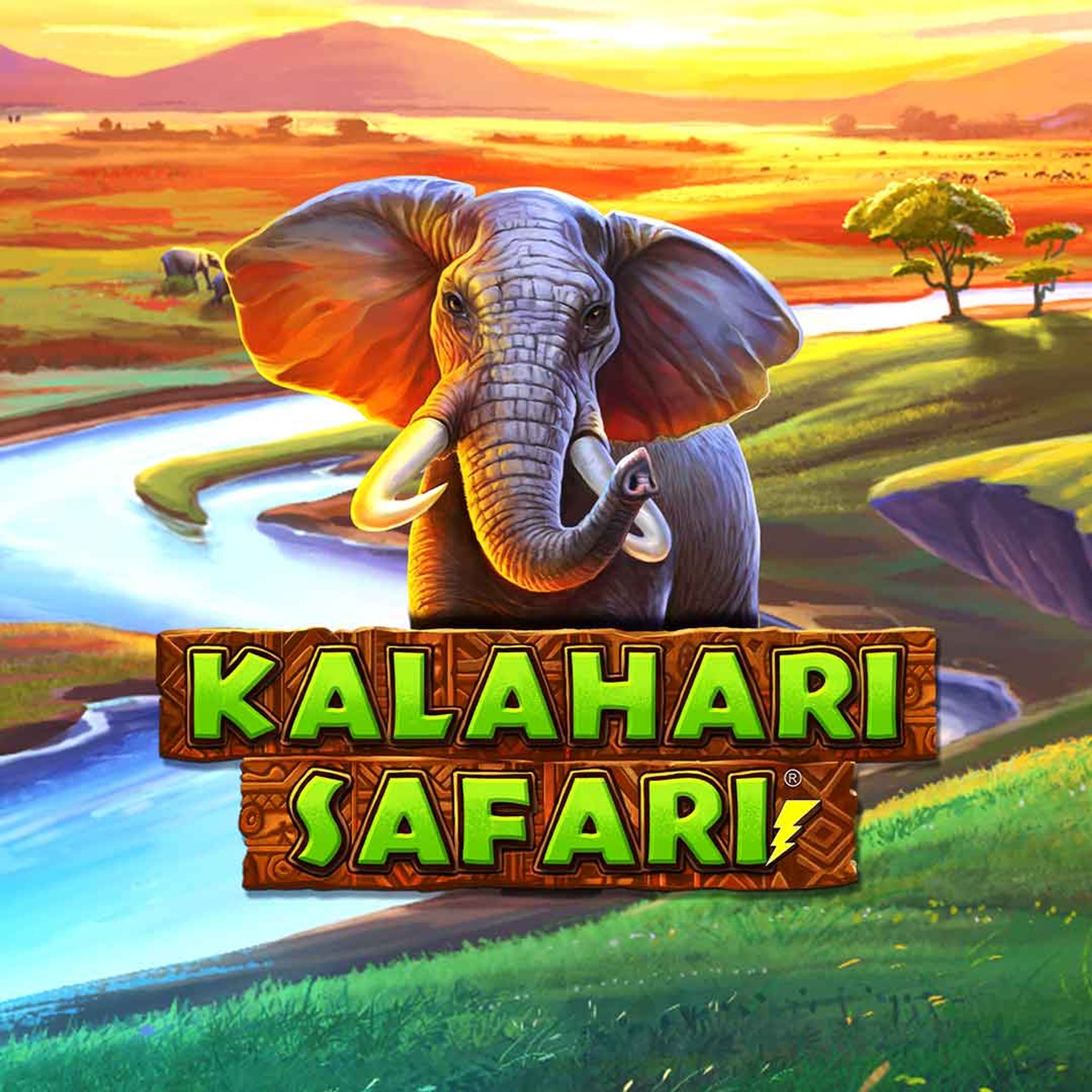 Kalahari Safari