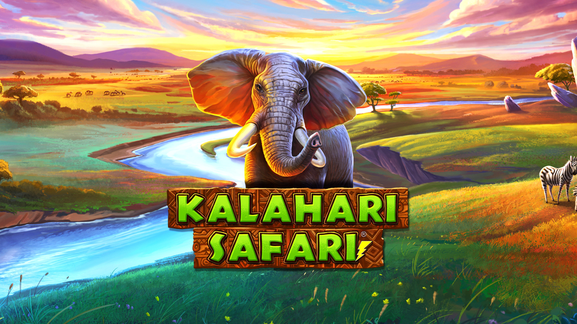 Kalahari Safari