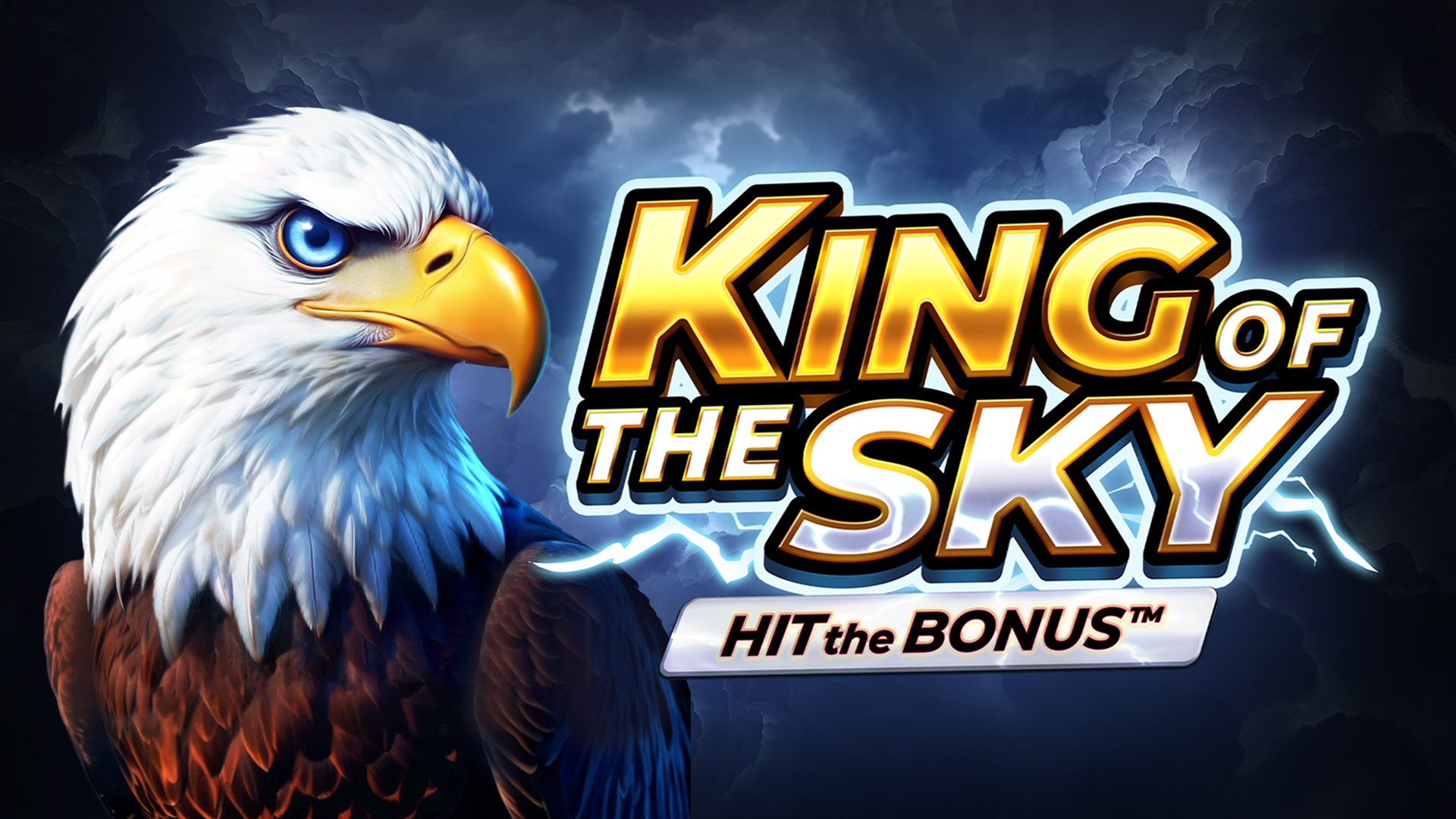 King of the Sky: Hit the Bonus