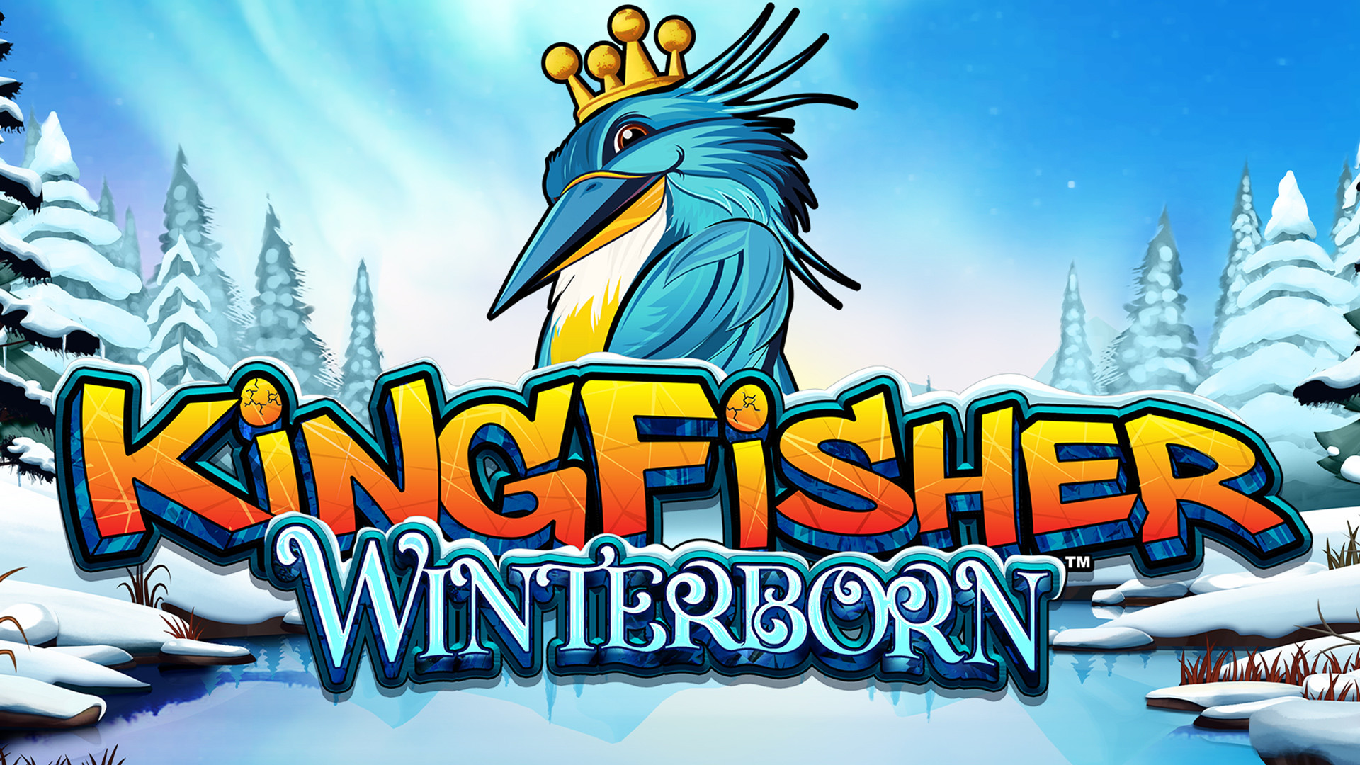 Kingfisher Winterborn