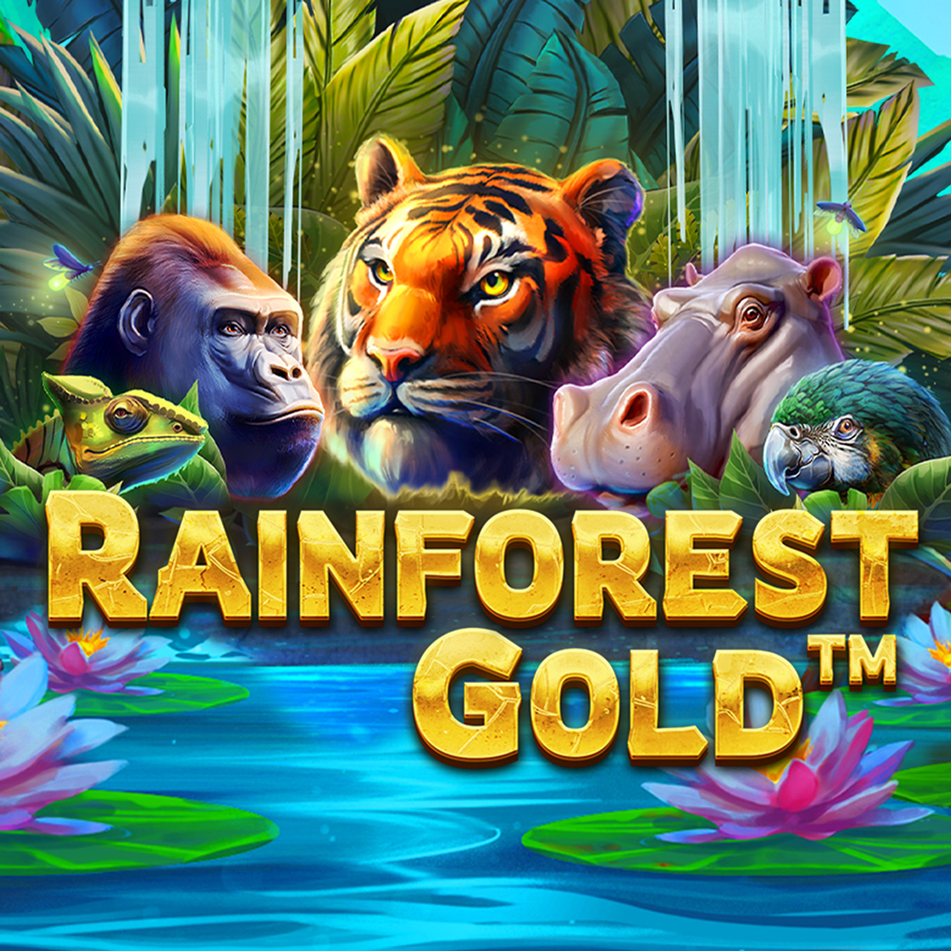 Rainforest Gold