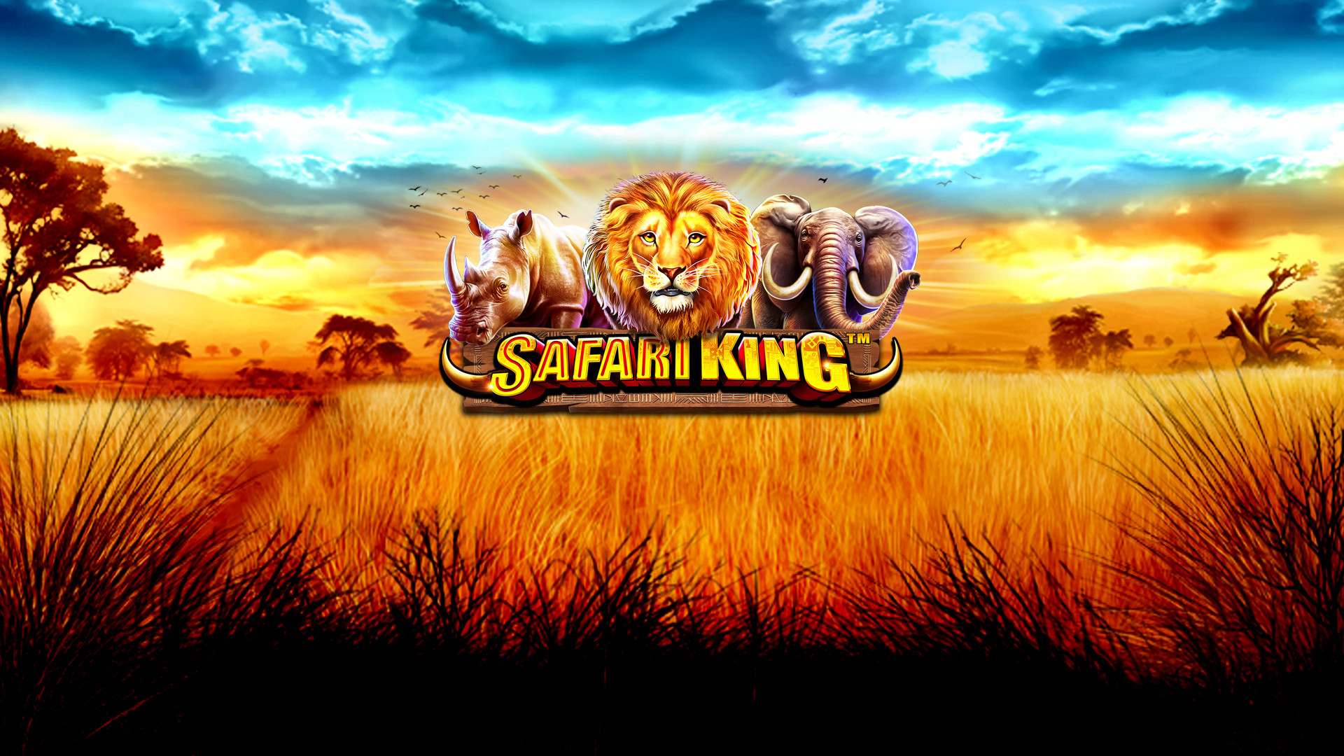 Safari King