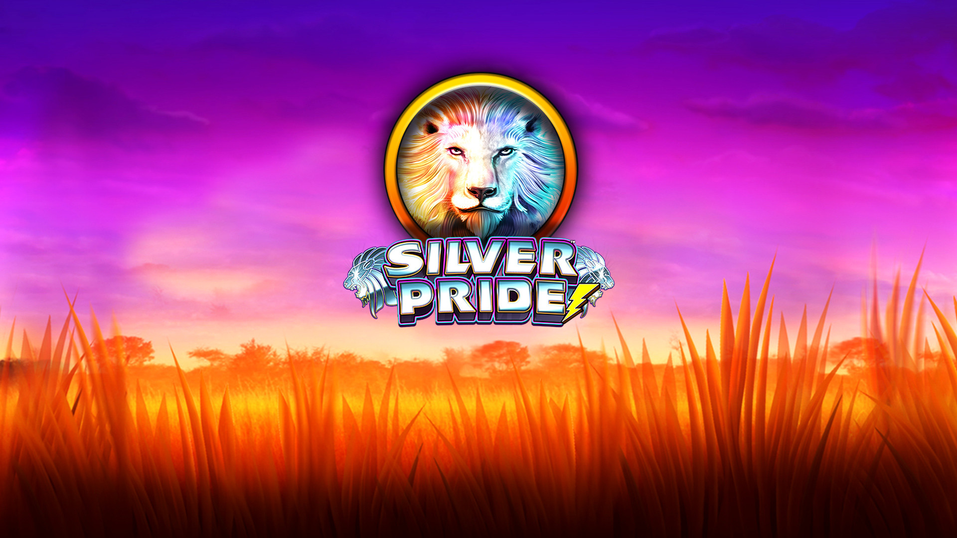 Silver Pride