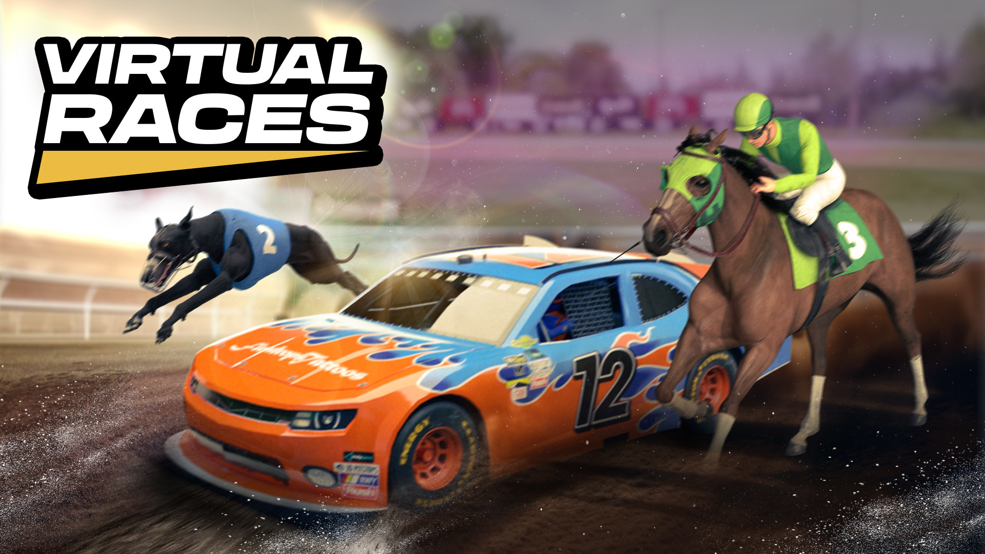 Virtual Races