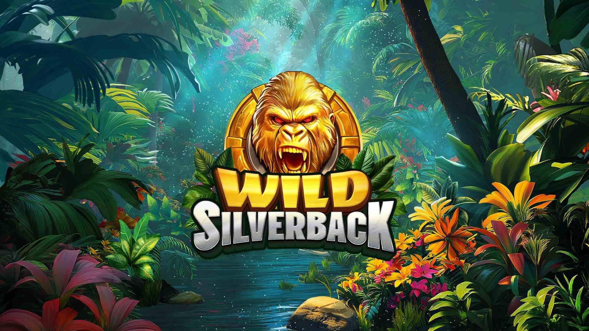 Wild Silverback